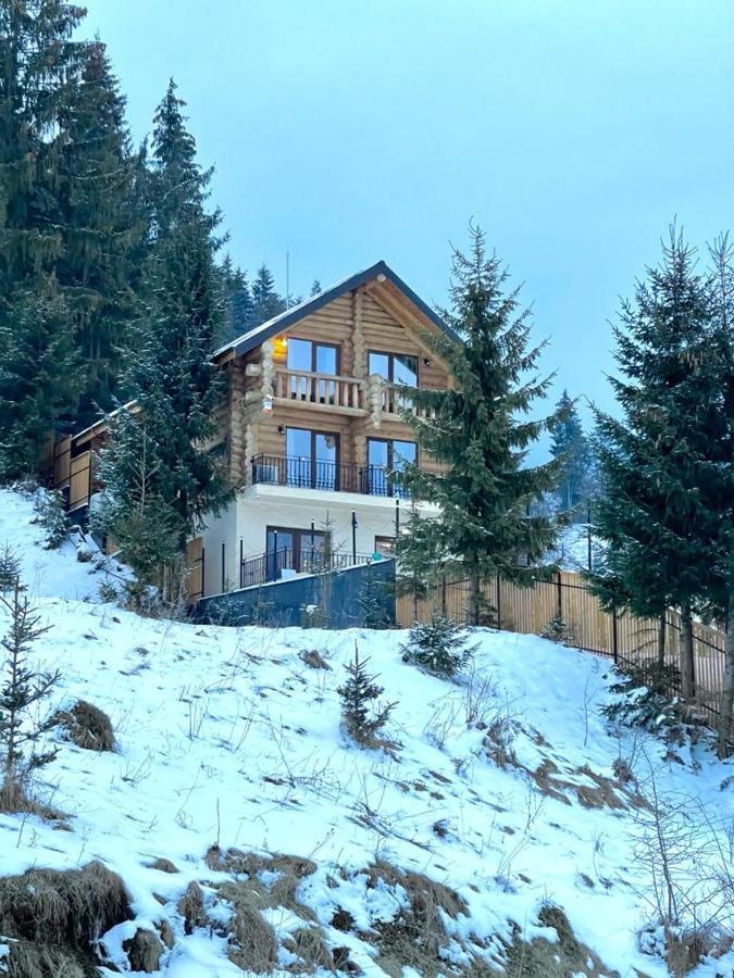 Chalet Du Lac Colibiţa Buitenkant foto