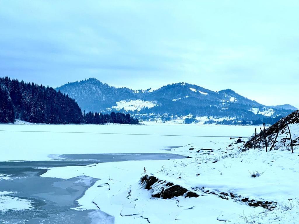 Chalet Du Lac Colibiţa Buitenkant foto